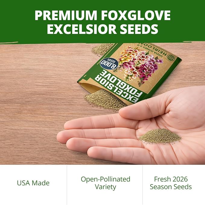HOME GROWN Foxglove Seeds Mix 8000 (0.8g) Excelsior 2026 Spring for Planting Flower Seeds – Mixed Colors Wildflowers Bulk, Perennial Flower Seeds Packets, Cottage Garden (Digitalis purpurea)