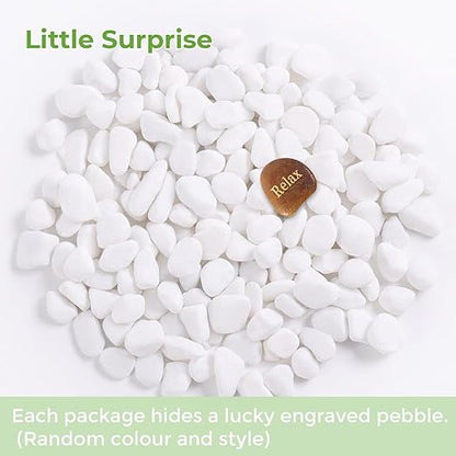 SIDONG 10 LB White River Rocks, 0.3-0.5 Inches Pebbles for Indoor Plants, Aquarium Rocks Used in Fish Tank, Decorative Stones for Plants, Vases, Home Décor, Crafting, Garden Landscaping