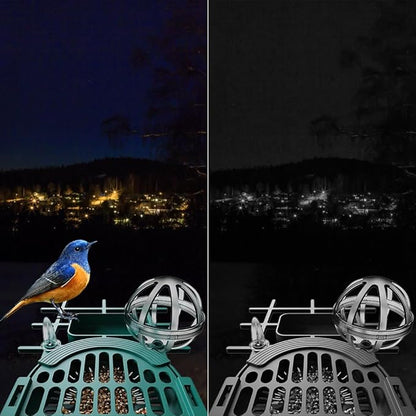 WOOLINK 3MP Smart Bird Feeder with Camera, 2K 2.4Ghz Solar Wireless Battery Camera With AI Bird Species Identification, HD Video Bird House with Camera for Ourdoor, IP65 Waterproof, Color Night Vision