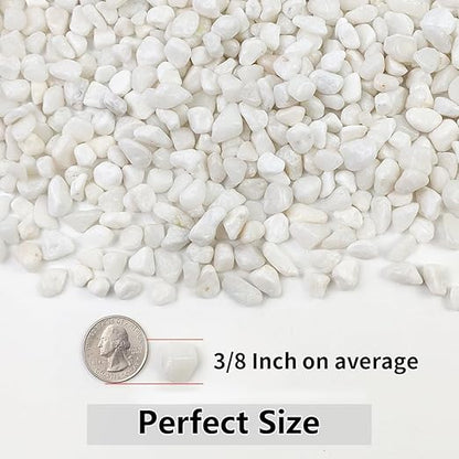 YISZM 5LB Succulent and Cactus Gravel Pebbles, 3/8 Inch Natural Decorative Polished Stones, River Rocks for Plants, Vases, Aquariums, Terrarium and Outdoor Gardening, White