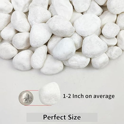 YISZM 40lbs White River Rocks for Landscaping, 1-2 Inch Natural Pebbles for Indoor Plants, High Polished Decorative Stones Garden Outdoor and Indoor DIY Vase Filler Fish Tank Aquariums