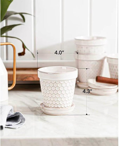 Ceramic Succulent Pots with Drainage Hole & Saucer, 4 Inch Small Plant Pots, Ceramic Planter for Indoor Plants, Embossed Flower Pots, Home Decor, Set of 4, Off-White