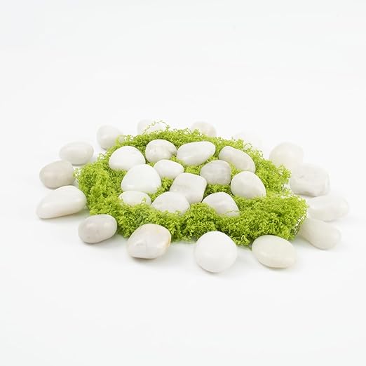 Natural White River Pebbles - LOOIOOJ 20 Lbs Polished Decorative Rocks, 0.5-1 inch, for Aquariums, Gardens, and Indoor Plant Drainage (White, Weight: 20 LB)