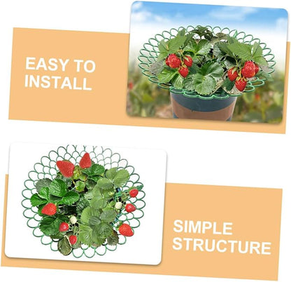 5pcs Strawberry Plant Support Racks Garden Holder for Balcony Outdoor Use Vertical Growth Space-Saving Design Optimal Air Circulation Trellis