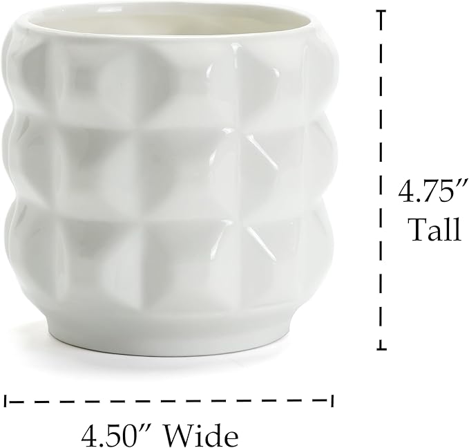 Ceramic Planter Pot with Drainage Hole, 4.5 Inch Dia, Indoor and Outdoor, Home Patio Garden, Plants Flower Succulent, 3D Patterned Round (White)