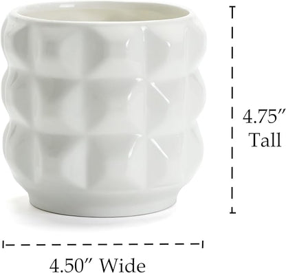 Ceramic Planter Pot with Drainage Hole, 4.5 Inch Dia, Indoor and Outdoor, Home Patio Garden, Plants Flower Succulent, 3D Patterned Round (White)
