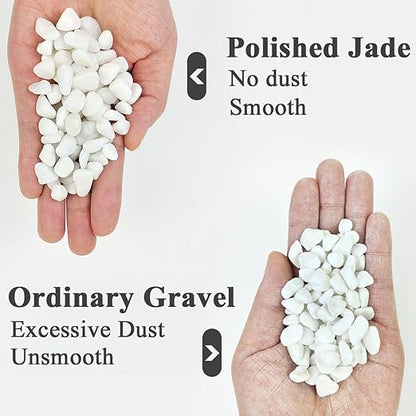 YISZM 5LB Succulent and Cactus Gravel Pebbles, 3/8 Inch Natural Decorative Polished Stones, River Rocks for Plants, Vases, Aquariums, Terrarium and Outdoor Gardening, White