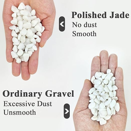 YISZM 10LB Succulent and Cactus Gravel Pebbles, 3/8 Inch Natural Decorative Polished Stones, River Rocks for Plants, Vases, Aquariums, Terrarium and Outdoor Gardening, White