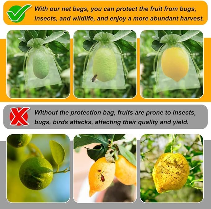 Shintop 100Pcs Fruit Protection Bags, 4x6 Inch Green Strawberry Netting Cover Drawstring Mesh Bags Pest Barrier for Blueberry Small Fruit