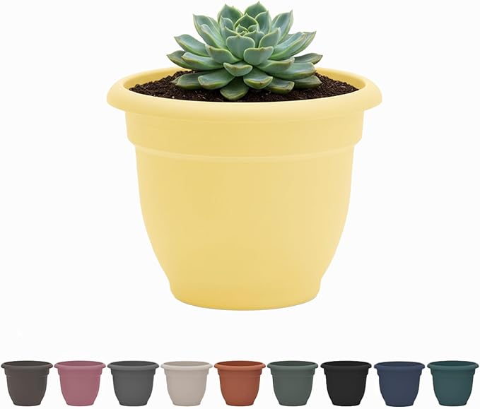 Bloem Ariana 12" Daffodil Round Self-Watering Resin Planter Pot - Rolled Rim Indoor and Outdoor Gardening Planter