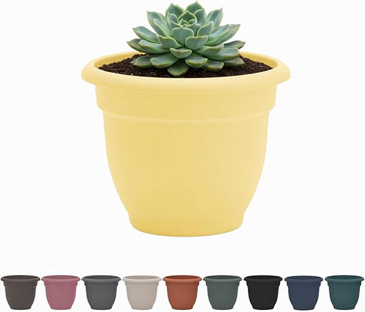Bloem Ariana 12" Daffodil Round Self-Watering Resin Planter Pot - Rolled Rim Indoor and Outdoor Gardening Planter