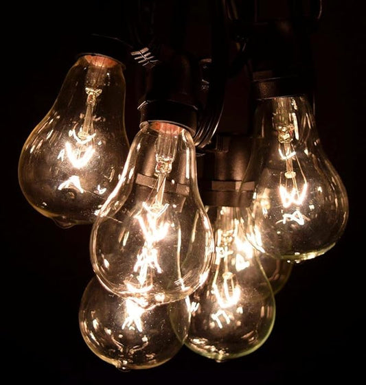 Hometown Evolution, Inc. Commercial Grade Vintage Edison Outdoor String Lights (PS50 Clear - Commercial Black Wire, 50 ft)