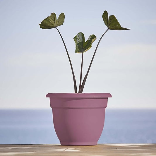 Bloem Ariana 16" Dusty Rose Round Self-Watering Resin Planter Pot - Rolled Rim Indoor and Outdoor Gardening Planter
