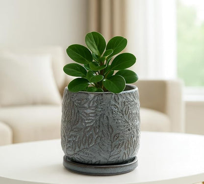 D'vine Dev 4 Inch Embossed Leaves Stoneware Planter Pot with Drainage Hole and Saucer, Graphite Blue, 27-A-Z-9