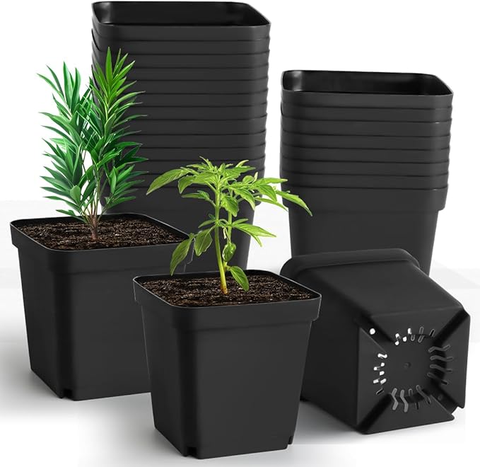 Square Nursery Pots 5.5 Inch, Plastic Plant Pot with Drainage Holes, 30 Pcs Reusable Seedling Starter Pots Garden Flower Pots Planters for Indoor Plants, Transplanting, Succulents, Cuttings
