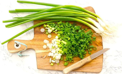 Seeds Japanese Green Onions Tokyo 300+ Seeds for Planting Bunching Onions Perennial