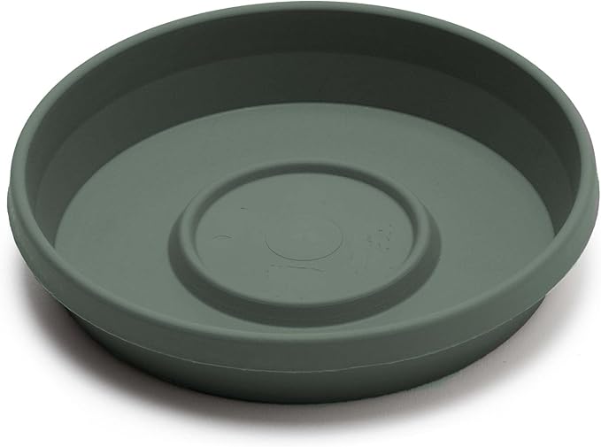 Bloem Terra Resin Saucer Tray: 17.5" Bottom Width - Basil Green - Matte, Durable, Ribbed Bottom, Indoor and Outdoor, Fits 24" Terra Pots
