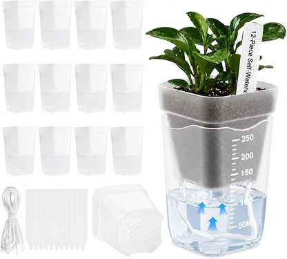 12 Pack 2.5" Self Watering Seed Starter Cups, Clear Mini Planters for Indoor Plants, Help Prevent Overwatering, Promote Healthy Growth for Seedlings, Cuttings & Small Plants, with 12 Labels