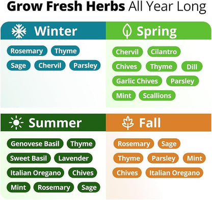 HOME GROWN Herb Seeds for Planting 15-Pack Massive Seed Count 4,300+ Seeds Non-GMO Heirloom | Extra Large | Culinary Herb Kit, Indoor Outdoor & Hydroponic | Grow Your Own Herbs | Gardening Gift