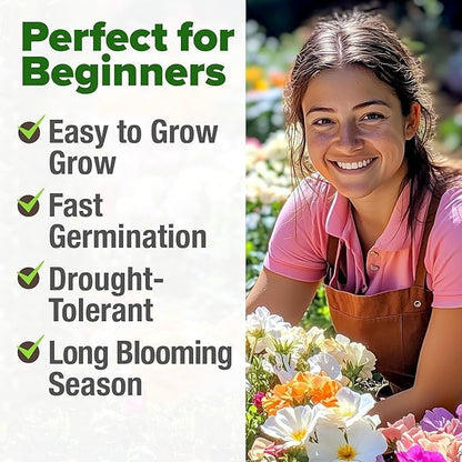 HOME GROWN Moss Rose Seeds 47,000+(Bulk Pack) Annual Flower for Ground Cover - Heirloom Non-GMO Portulaca Seeds for Planting Outdoors - Great for Low-Maintenance Gardens (Portulaca grandiflora)
