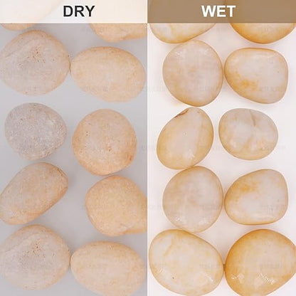 10lb Cream White River Rocks Outdoor Landscaping- Polished Pebble for Plants – Garden Decorative Stones-1-2 Large Plant Rocks,Ideal for Aquarium, Home Decor