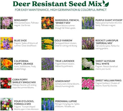 Grow Your Own Vibrant Annual and Perennial Wildflower Garden Seed Mixture, Varieties for Pollinators and Spring Gardens - Deer Resistant Mix, 1 lb