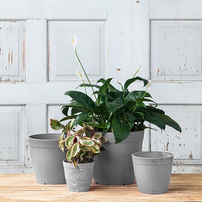 Root & Vessel Dolce Round Planter, Gray, 8"