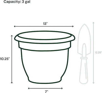 Bloem Ariana Pot Planter: 12" - Living Green - Durable Resin Pot, For Indoor and Outdoor Use, Gardening, Self Watering Disk Included, 3 Gallon Capacity