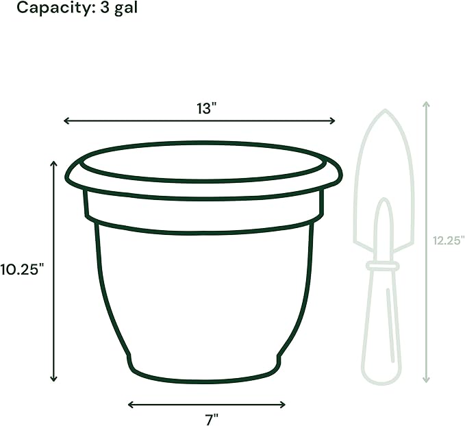 Bloem Ariana Self Watering Planter: 12" - Chocolate - Durable Resin Pot, for Indoor and Outdoor Use, Self Watering Disk Included, Gardening, 3 Gallon Capacity