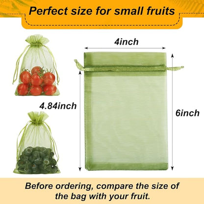 Shintop 100Pcs Fruit Protection Bags, 4x6 Inch Green Strawberry Netting Cover Drawstring Mesh Bags Pest Barrier for Blueberry Small Fruit