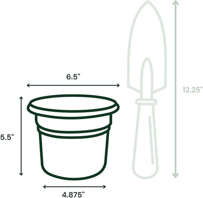 Bloem Posy 6" Charcoal Round Resin Planter Pot Indoor and Outdoor Gardening