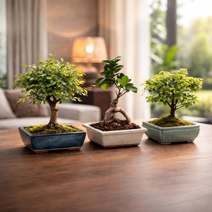 Bonsai Tree Kit for Beginners – 5X Unique Japanese Bonzai Trees | Complete Indoor Bonsai Starter Kit for Growing Bonsai Plants with Tools & Planters – DIY Gardening Gifts for Women & Men