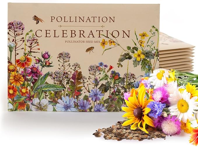 Bentley Pollination Celebration Wildflower Seed Packets, Non-GMO, Uncoated Flower Mix for Planting, Beautiful Garden Gift