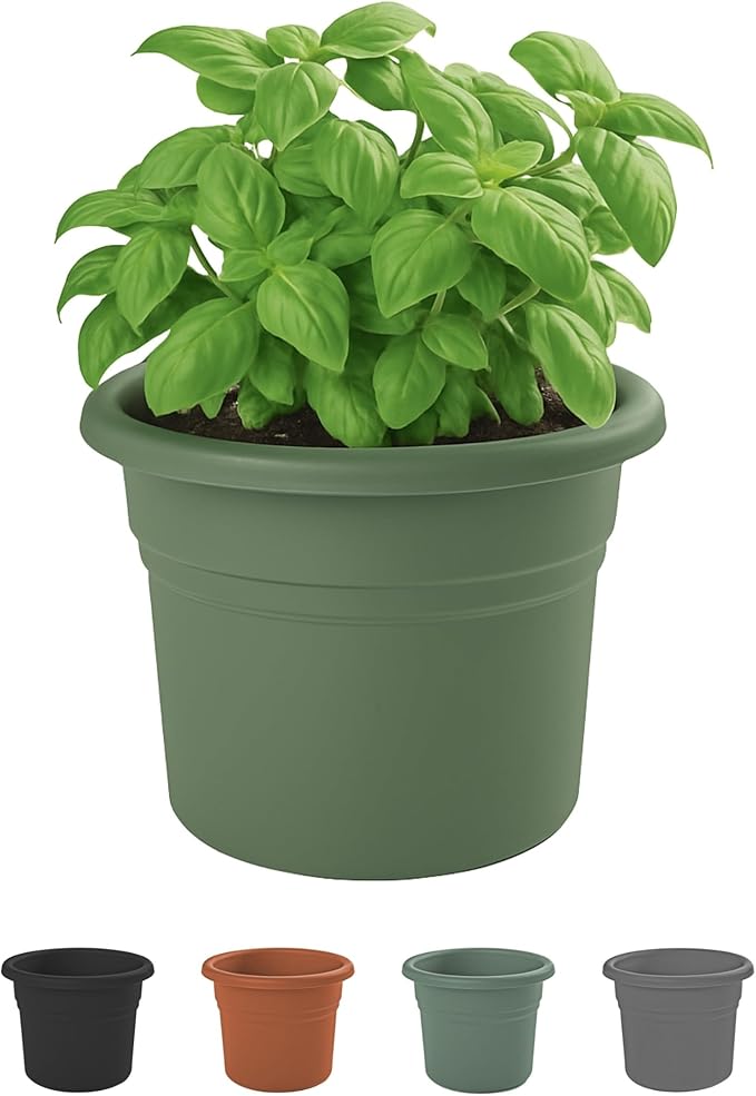 Bloem Posy 8" Basil Round Resin Planter Pot Indoor and Outdoor Gardening