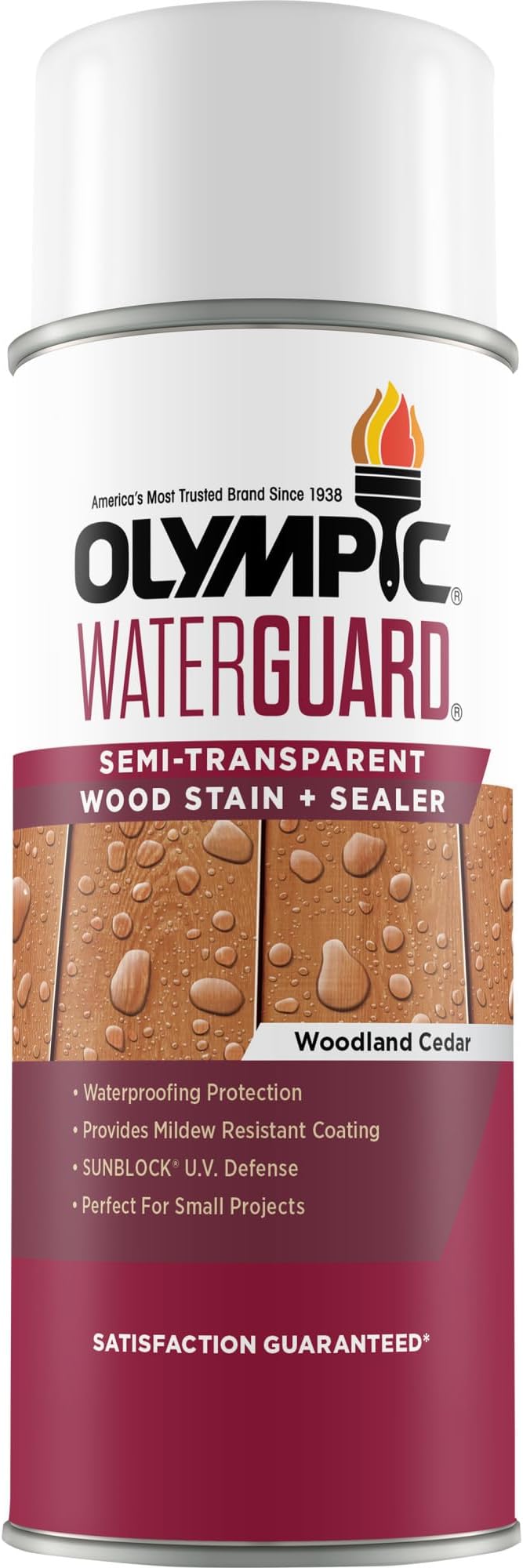 Olympic WaterGuard 11.75 oz. Woodland Cedar Semi-Transparent Exterior Wood Stain Plus Sealer (Pack of 2)