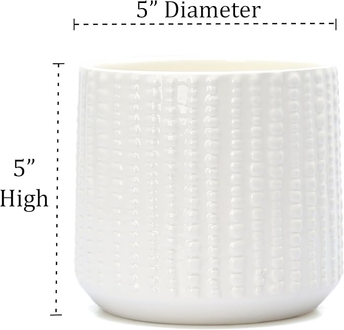 Ceramic Planter Pot with Drainage Hole, 5 Inch Dia, Indoor and Outdoor, Home Patio Garden, Plants Flower Succulent, Textured Round (White)