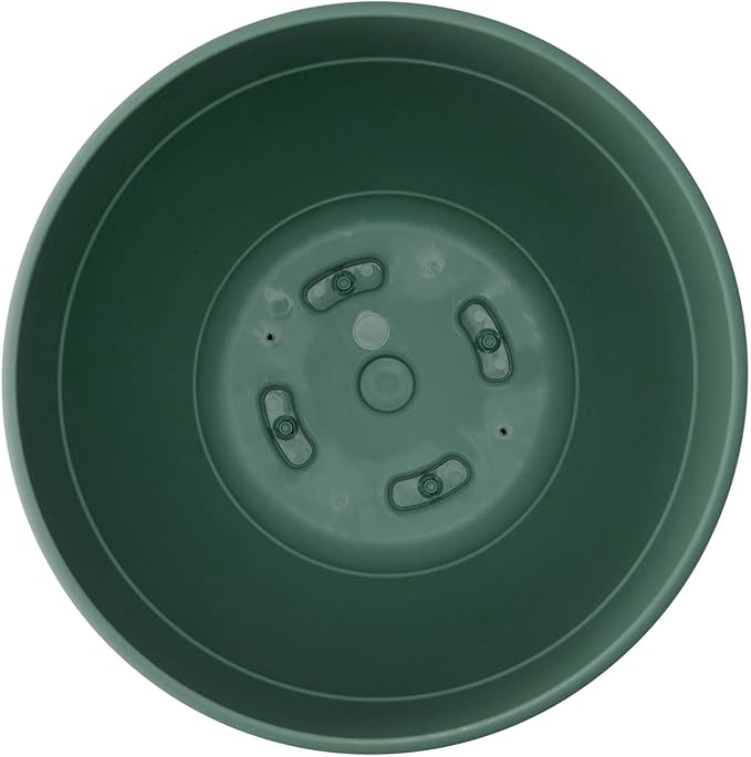 Bloem Dayton 8" Turtle Green Recyled Plastic Planter Pot with Drainage Holes and Removable Saucer for Indoor and Outdoor Gardening