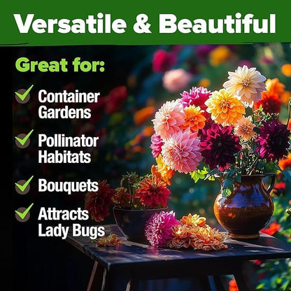 HOME GROWN USA Premium Zinnia Dahlia Seeds Pack for 2026,1048 Non-GMO Flower Seeds, Vibrant Zinnia Elegans for Planting Pollinator Gardens, Borders & Containers, Easy-to-Grow Outdoor Blooms