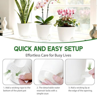 Self Watering Pots for Plants, 2026 New Flower Plant Pots with Drainage Holes, Wicking and Clear Reservoirs for Succulent, Aloe, Cacti and Others - 6 Pack (White, 5")