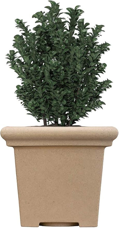 The HC Companies 24" Premium Plastic Terrazzo Square Planter 24"x24"x21.13" in Sandstone Color