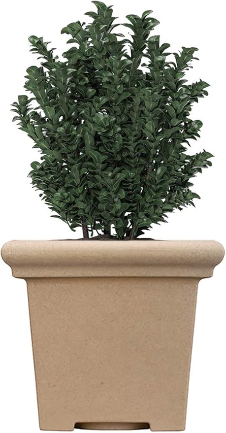The HC Companies 24" Premium Plastic Terrazzo Square Planter 24"x24"x21.13" in Sandstone Color