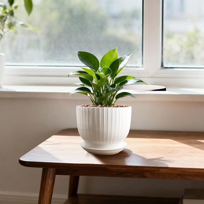 Ceramic Plant Pots,6.7 Inch,Set of 2,Planters with Drainage Hole and Saucer,Flower pots for Indoor Plants,Modern Design(Pure White,2 Pack)
