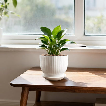 Ceramic Plant Pots,6.7 Inch,Set of 2,Planters with Drainage Hole and Saucer,Flower pots for Indoor Plants,Modern Design(Pure White,2 Pack)