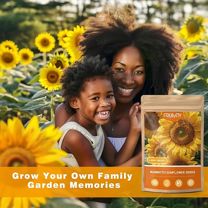 600+ Giant Mammoth Heirloom Sunflower Seeds to Plant, High Germination, Easy to Grow, for Home Garden