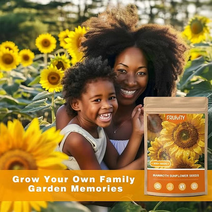 600+ Giant Mammoth Heirloom Sunflower Seeds to Plant, High Germination, Easy to Grow, for Home Garden