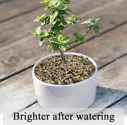 FANTIAN 20lbs Fish Tank Sand, 1/16 inch Small Aquarium Gravel. Decorative Pea Gravel River Rocks for Air Plants, Vase Fillers, Landscaping and Succulent Soil Cover