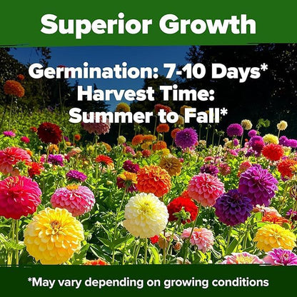 HOME GROWN USA Premium Zinnia Dahlia Seeds Pack for 2026,1048 Non-GMO Flower Seeds, Vibrant Zinnia Elegans for Planting Pollinator Gardens, Borders & Containers, Easy-to-Grow Outdoor Blooms