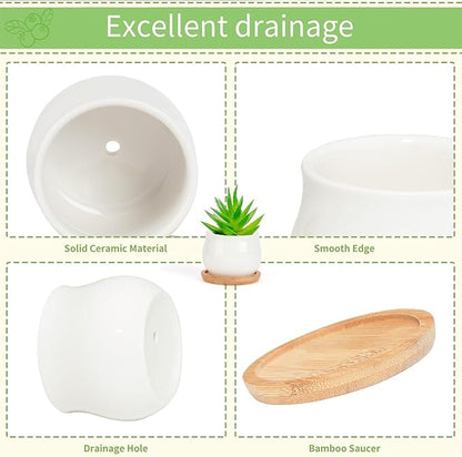 SHECIPIN Succulent Plant Pot, White Mini 2.6 inch Ceramic Flower Planter Pot with Bamboo Tray, Pack of 8 - Plants Not Included