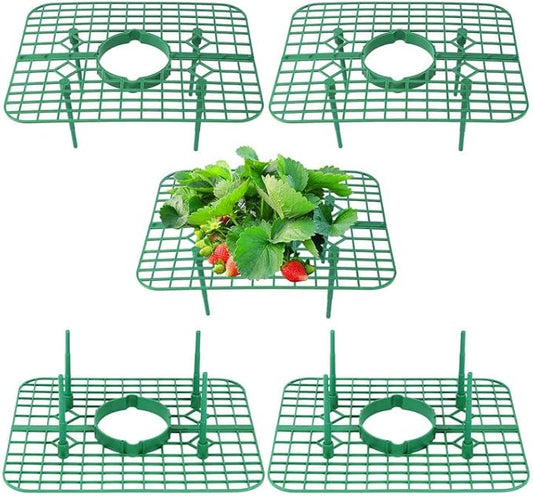 5 Pack Strawberry Plant Support Square Strawberry Supports for Garden Green Holder Plastic Stand with 4 Sturdy Legs Risers Growing Racks Frame