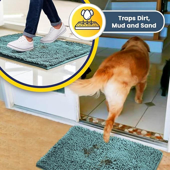 Muddy Mat® | Super Water Absorbent Door Mat Indoor, Microfiber Quick Dry Chenille Entryway Rug, Slip Resistant Front Door Mat, Indoor Mats for Entryway, Machine Washable Pet Rug, Sea Green 2ft x 4ft